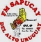 Sapucay FM 91.9 Logo