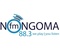 Nongoma FM Logo