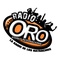 Radio Oro Stereo 96.7 Logo