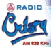 Radio Cristy Logo