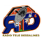 Radio Tele Dessalines Logo