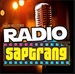 Radio Saptrang Logo