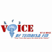 Voice of Tembisa Logo