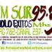 FM Sur 95.3 Logo