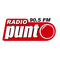 Radio Punto Logo