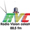 Radio Vision Celeste Logo