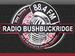 Radio Bushbuckridge Logo