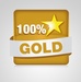 Hit Radio - 100% Gold Logo