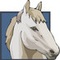 Stallion Radio Network Logo