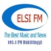 Elsi FM Logo