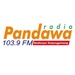 Radio Pandawa FM Logo