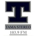 Tamá Stereo Logo