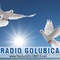 Radio Golubica Logo