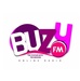 Buzy Fm Logo