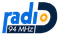 Radio D Lučani Logo