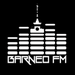 Barneo FM Logo