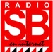 Radio San Borondón Logo