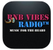 RnB Vibes Radio Logo