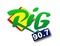 RIG Logo