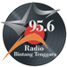 Radio Bintang Tenggara Logo