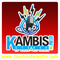 Kambis Stereo Logo