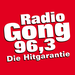 Radio Gong Logo