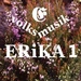 ERiKA 1 Logo