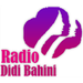 Radio Didi Bahini 95.2 Logo