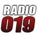 Radio 019 Negotin Logo