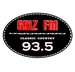 Griz FM 98.1 - WYDS-HD3 Logo