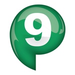 P9 Retro Logo