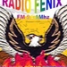 FM Fenix 91.1 Embarcacion Logo