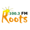 Roots FM 100.3 Logo