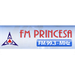 Rádio FM Princesa 99.3 Logo