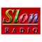 Radio Slon FM Logo