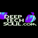 Deep Tech Soul Radio Logo