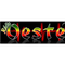 Radio Oeste FM Logo