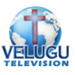 Velugu Radio Logo