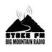 Stoke FM 92.5 - VF2590 Logo