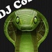 DJ Cobricio HiT Radio Logo