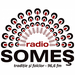 Radio SOMEȘ Logo