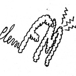 Plem FM Logo