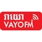 VAYO FM 105.5 Logo