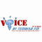 Voice of Tembisa Logo