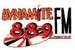 Dynamite 88.9 FM Logo