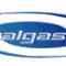 Auralgasms Radio Logo