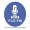 FLO 94.9 FM Logo