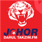 Johor Darul Takzim FM Logo