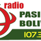 Radio Pasion Boliviana 107.3 Logo