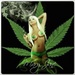 Kentucky Weed Radio Logo